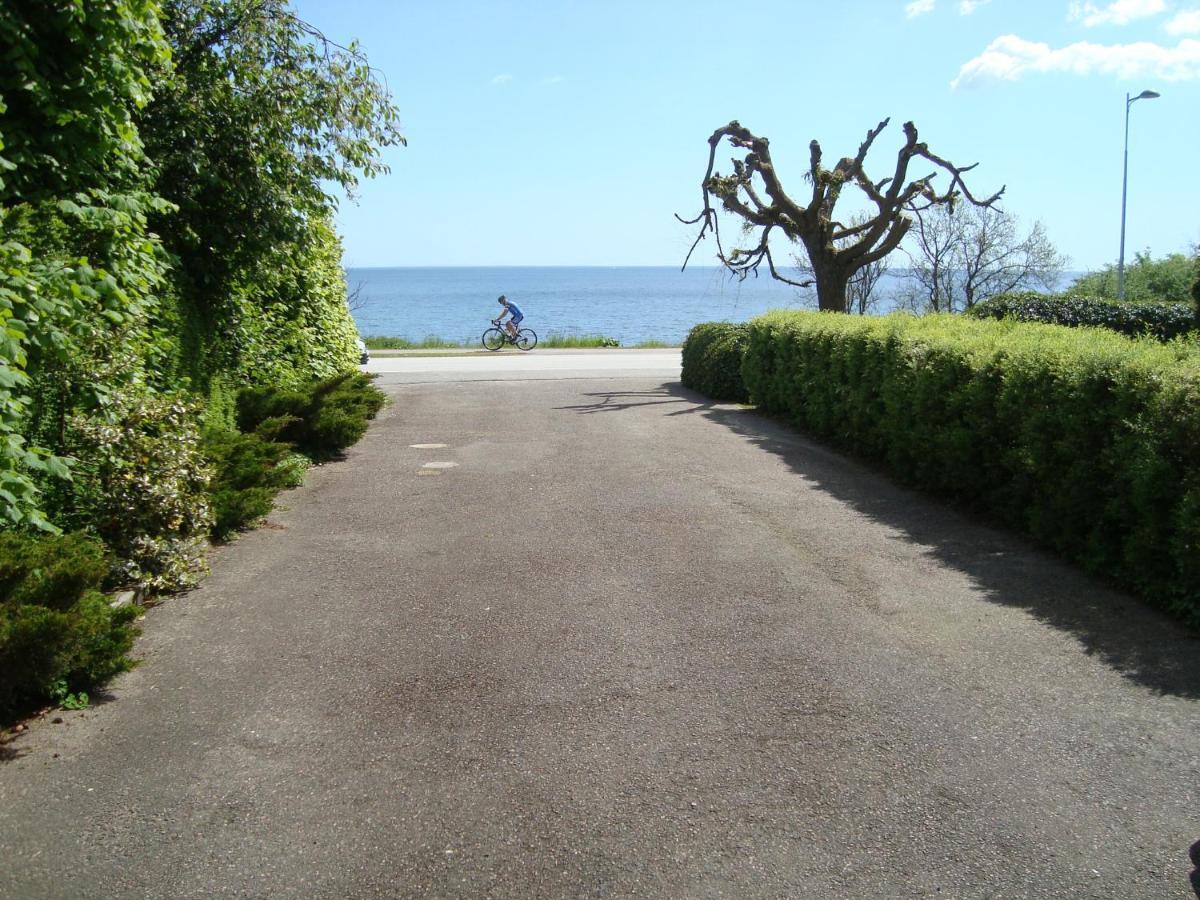Guest Cottege Villa Ystad Exterior foto
